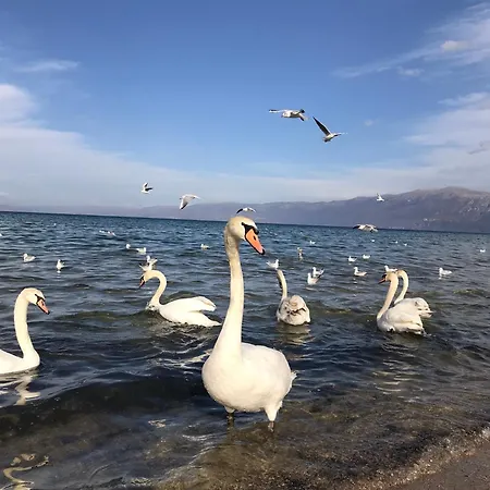 Rentroom Ajan アパート