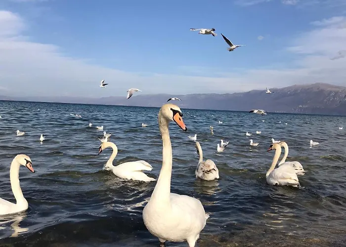 Rentroom Ajan 公寓